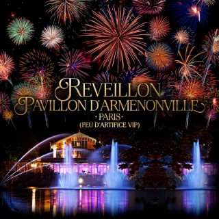 SPECTACULAR VIP NEW YEAR’S EVE WITH FIREWORKS